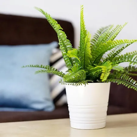 Tanzanita Apartmán *