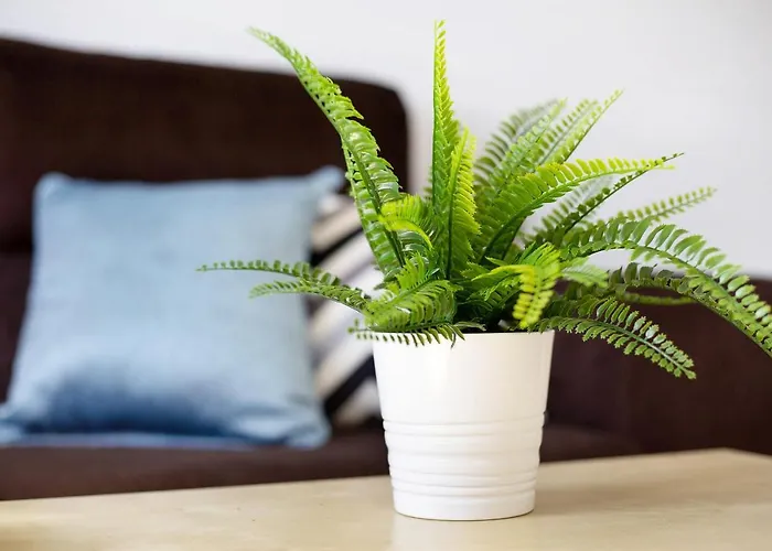 Tanzanita Apartmán *